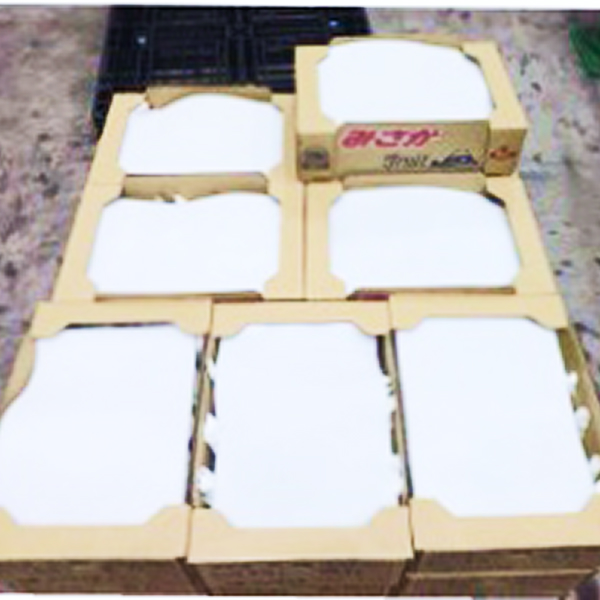 輸出規制や輸送課題に対しての課題と対策 1