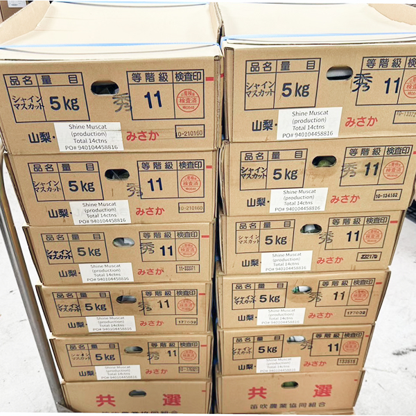 輸出規制や輸送課題に対しての課題と対策 5