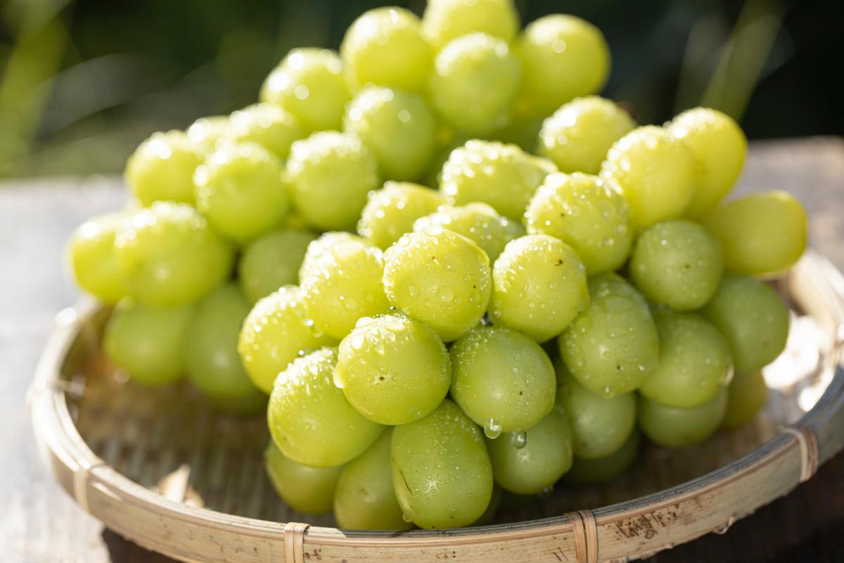 香港への青果輸出 2