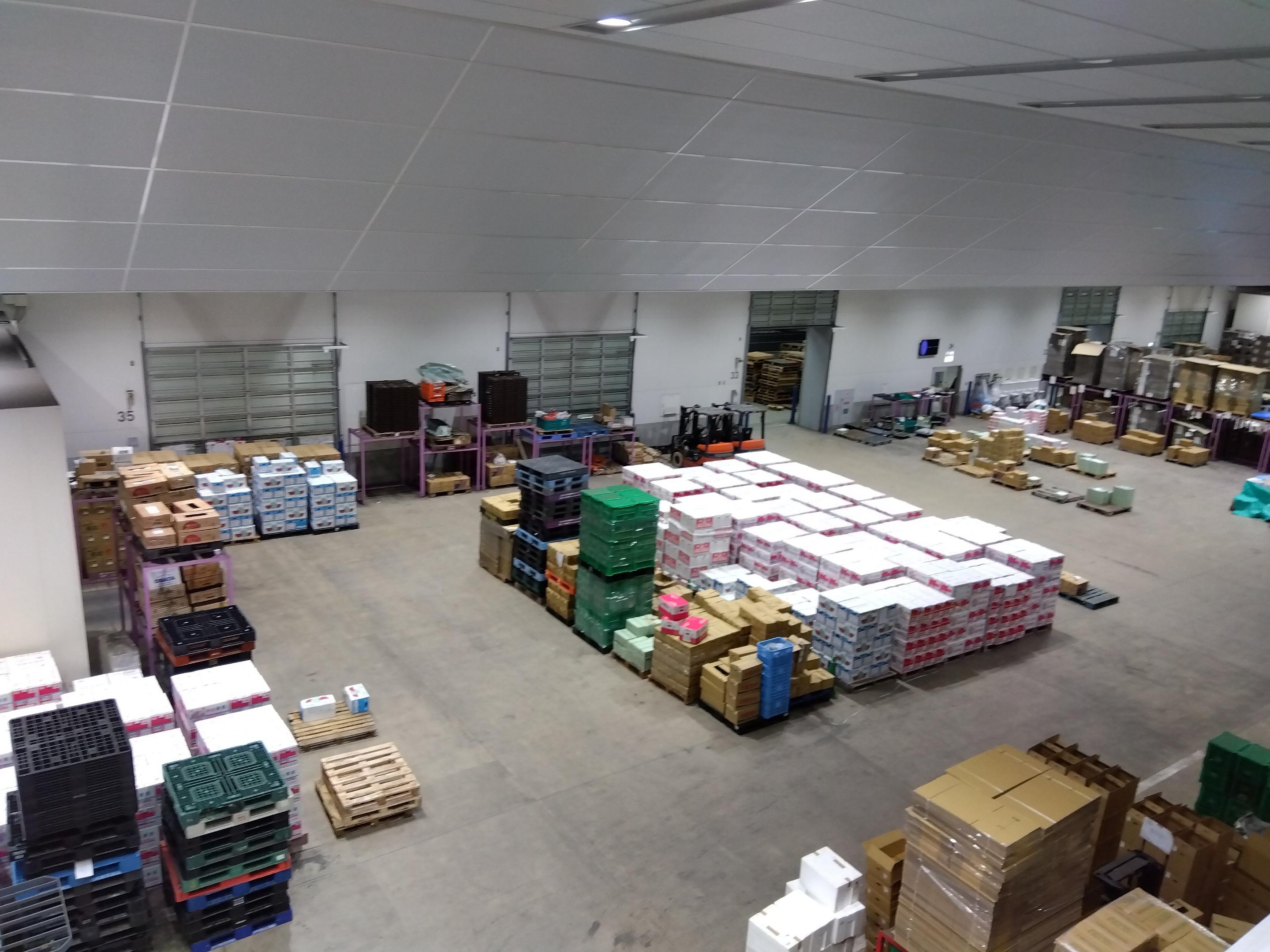 成田市場通常業務